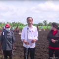Presiden RI Joko Widodo - Kementan RI melakukan kegiatan Tanam Jagung bersama Petani sekaligus meninjau program Petani Milenial, Senin di Sorong (4/10/2021).