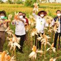 Badan Ketahanan Pangan Harus Mampu Menguatkan Ketahanan Pangan Nasional
