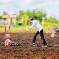 Presiden Ajak Petani Milenial Menjadi Motor Penggerak Pertanian
