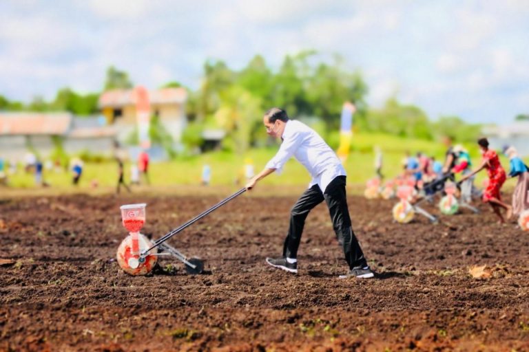 Presiden Joko Widodo melakukan tanam jagung bersama petani di Kelurahan Klamasen Distrik Mariat Kabupaten Sorong, Papua Barat, Senin, 4 Oktober 2021. -keuanganonline.id