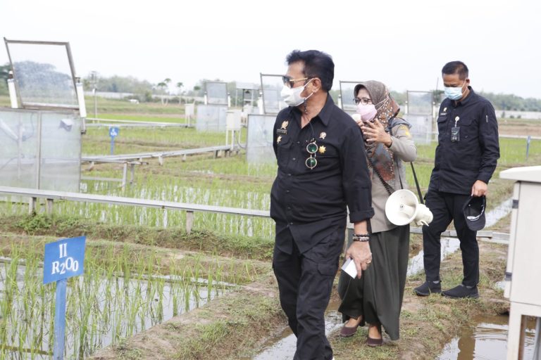 Menteri Pertanian Syahrul Yasin Limpo melakukan kunjungan kerja di Kabupaten Pati, Jawa Tengah, Kamis, 4 November 2021.