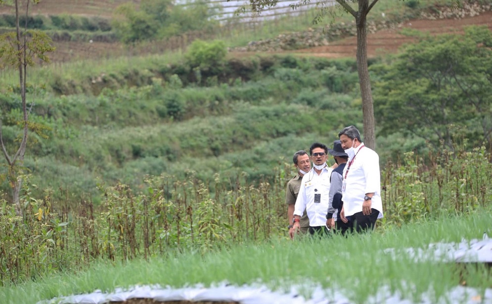 Menteri Pertanian (Mentan) Syahrul Yasin Limpo Saat kunjungan di Wonosobo dan Temanggung