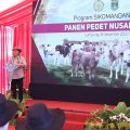 Panen Pedet Nusantara, Komisi IV DPR RI Bangga Kinerja Kementan