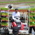 Presiden Jokowi Tegaskan Produksi Padi Dalam Kondisi Optimal