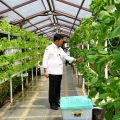 Mentan Dorong Inovasi dan Teknologi dalam Adaptasi Perubahan Iklim
