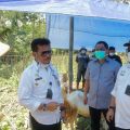 Mentan Paparkan Tiga Agenda Penanganan Pertanian di Wilayah Terdampak Erupsi Semeru