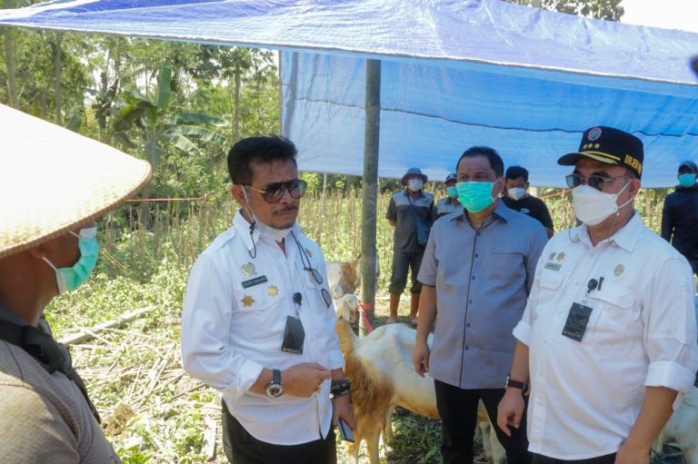 Menteri Pertanian Syahrul Yasin Limpo bersama Anggota Komisi IV DPR RI, Charles Meikyansah mengunjungi Desa Sumber Mujur, Kecamatan Candipuro Kabupaten Lumajang, Jawa Timur, Selasa, 7 Desember 2021. Menteri Pertanian Syahrul Yasin Limpo bersama Anggota Komisi IV DPR RI, Charles Meikyansah mengunjungi Desa Sumber Mujur, Kecamatan Candipuro Kabupaten Lumajang, Jawa Timur, Selasa, 7 Desember 2021.