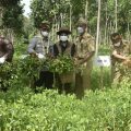 Pemkot Jakarta Timur Galakkan Urban Farming di Jakarta