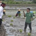 BPS: Kemiskinan Desa Turun Karena Pembangunan Sektor Pertanian