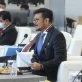 Pertemuan D-8, Mentan Paparkan Inovasi Kunci Hadapi Perubahan Iklim
