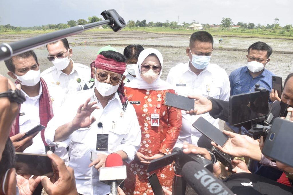 Menteri Pertanian Syahrul Yasin Limpo (Mentan SYL)