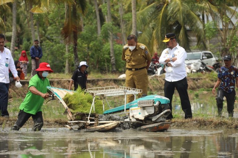 Menteri Pertanian Syahrul Yasin Limpo (Mentan SYL) dalam kegiatan penanaman padi IP 400 di Bone, Sulawesi Selatan, Senin, 7 Februari 2022.