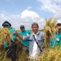 Suko Wahyu Widarto saat mendampingi Petani di Kabupaten Bojonegoro yang terkena banjir akibat jebolnya tanggul Kali Ingas, anak Sungai Bengawan Solo di Desa Kedungprimpen, Kecamatan Kanor, Bojonegoro, Jawa Timur (21/1) di lahan persawahan Kanor, Selasa (15/2/2022).