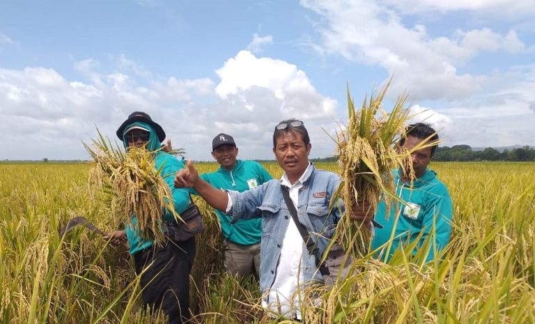 Suko Wahyu Widarto saat mendampingi Petani di Kabupaten Bojonegoro yang terkena banjir akibat jebolnya tanggul Kali Ingas, anak Sungai Bengawan Solo di Desa Kedungprimpen, Kecamatan Kanor, Bojonegoro, Jawa Timur (21/1) di lahan persawahan Kanor, Selasa (15/2/2022).