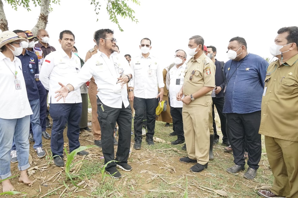 Menteri Pertanian Syahrul Yasin Limpo (Mentan SYL)