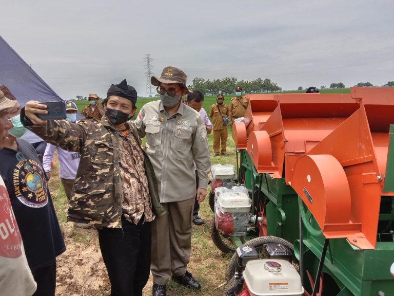Wakil Menteri Pertanian RI, Harvick Hasnul Qolbi. Foto: Istimewa