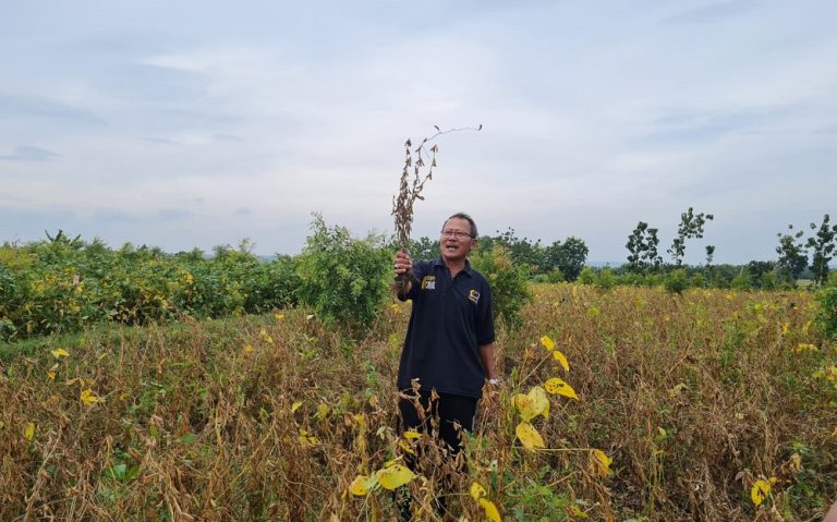 Kepala Dinas Pertanian Grobogan, Sunanto