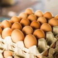 Kementan Kembali Serap Telur dari Peternak Rakyat