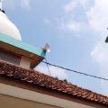 Pengeras Suara Masjid (foto: Istimewa)
