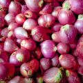Bawang Merah di Pasaran