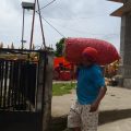 Bawang Merah