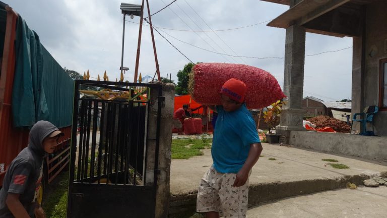 Bawang Merah