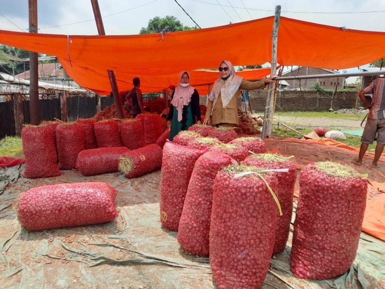 Bawang Merah