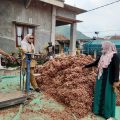 Bawang Merah