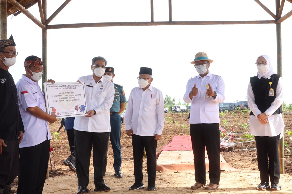 Wakil Presiden RI
