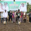 Mentan SYL Ajak Masyarakat Bone Tanam Kedelai, Jagung dan Produksi Minyak Kelapa