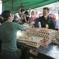 Kementan Lakukan Pengendalian Stok Pangan di 34 Provinsi