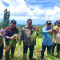 Pengamat: Sektor Pertanian Mampu Kendalikan Inflasi Indonesia Dibawah 3 Persen