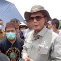 Antisipasi Penurunan Harga, Wamentan Dorong Penyerapan Gabah Petani
