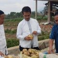 Direktur Jenderal Tanaman Pangan, Suwand