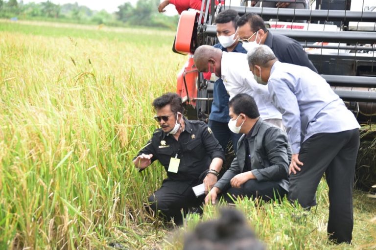 Menteri Pertanian Syahrul Yasin Limpo