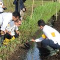 Antisipasi Kemarau 2022, Kementan Dorong Gerakan Panen Air