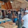 Kementan Pastikan Stok Pangan di Sulawesi Tengah Aman