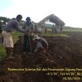 Kadistan Belu Klarifikasi: Food Estate Belu Tidak Gagal, Ini Faktanya