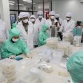 Lepas Ekspor ke Cina, Mentan Dorong Sarang Burung Walet Indonesia Tembus Pasar Amerika dan Eropa