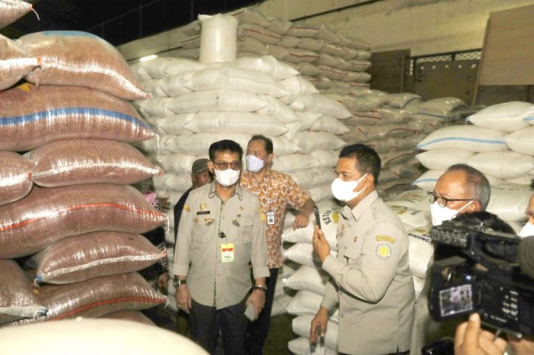 Menteri Pertanian Syahrul Yasin Limpo (Mentan SYL)