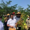 Kementan Terus Bergerak, Lakukan Panen Kedelai di Sukoharjo dan Sosialisasi Pupuk Organik Hayati