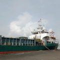 Cegah Tertular PMK, Sapi Asal Kupang Tidak Diturunkan di Tanjung Perak