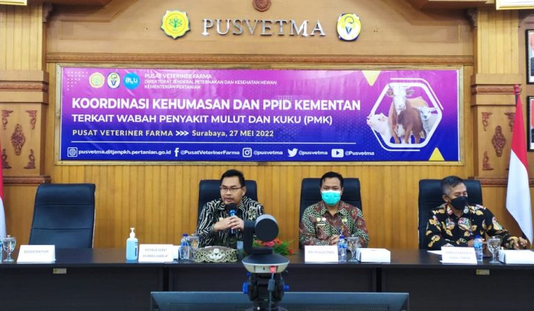 Koordinasi Wabah PMK - Kementan