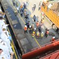 Jaga Stok Jelang Idul Adha, Pemerintah Atur Lalu Lintas Ternak Selama Wabah PMK