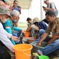 Tingkatkan Kapasitas dan Mutu Benih, Kementan Dorong Peran Penangkar