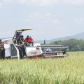 Peringati Hari Krida Pertanian, Mentan SYL Panen Padi IP400 di Kabupaten Sukoharjo