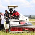FAO Optimis Kinerja Mentan SYL Mampu Hadapi Krisis Pangan Global