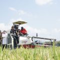 FAO Apresiasi Capaian Kinerja Pertanian Indonesia