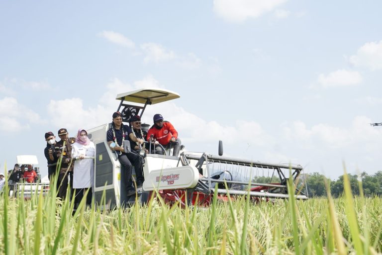 Kepala Perwakilan FAO, Rajendra Aryal saat menghadiri Hari Krida Pertanian (HKP) dan panen padi IP400 di Kabupaten Sukoharjo, Rabu, 22 Juni 2022.