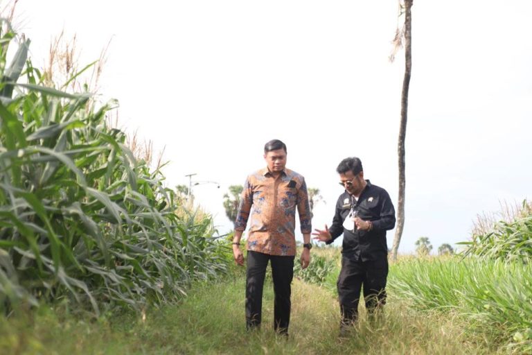 Menteri Pertanian Syahrul Yasin Limpo